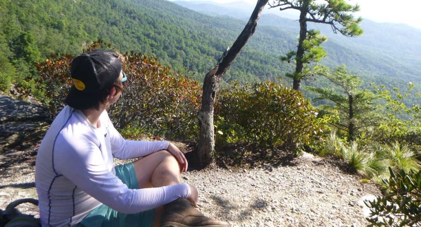 A person sits on a rocky overlook, looking out over the vast forested area below. 